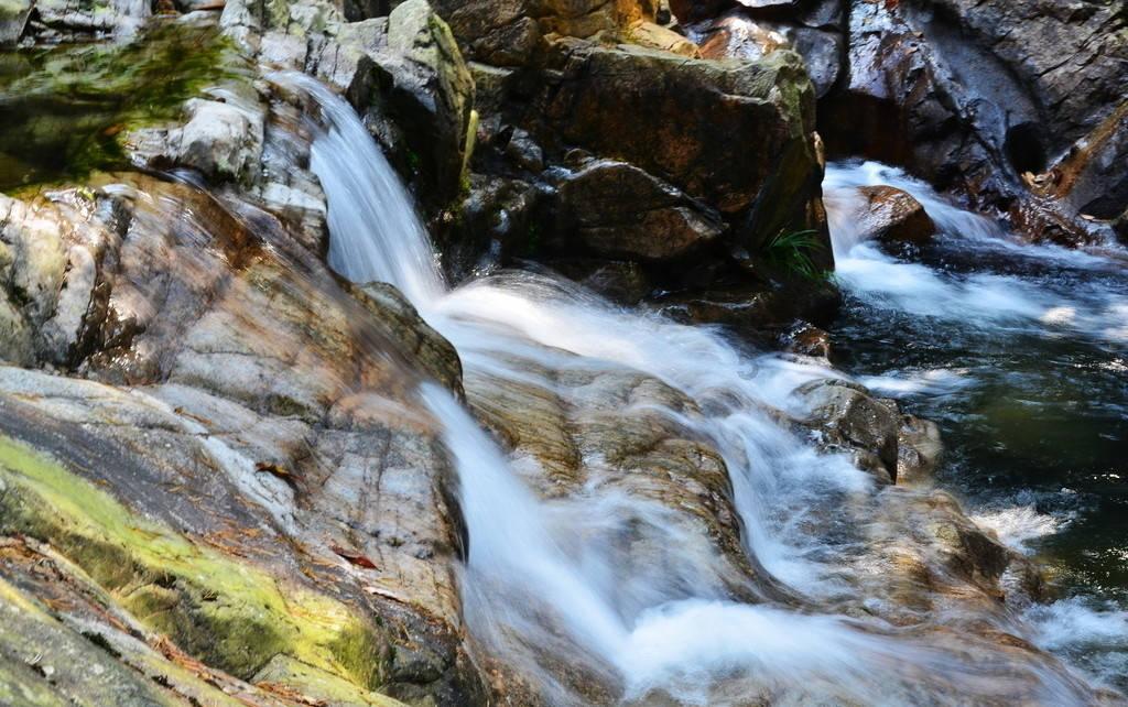 急！心跳骤停怎么办？来看“救命招”